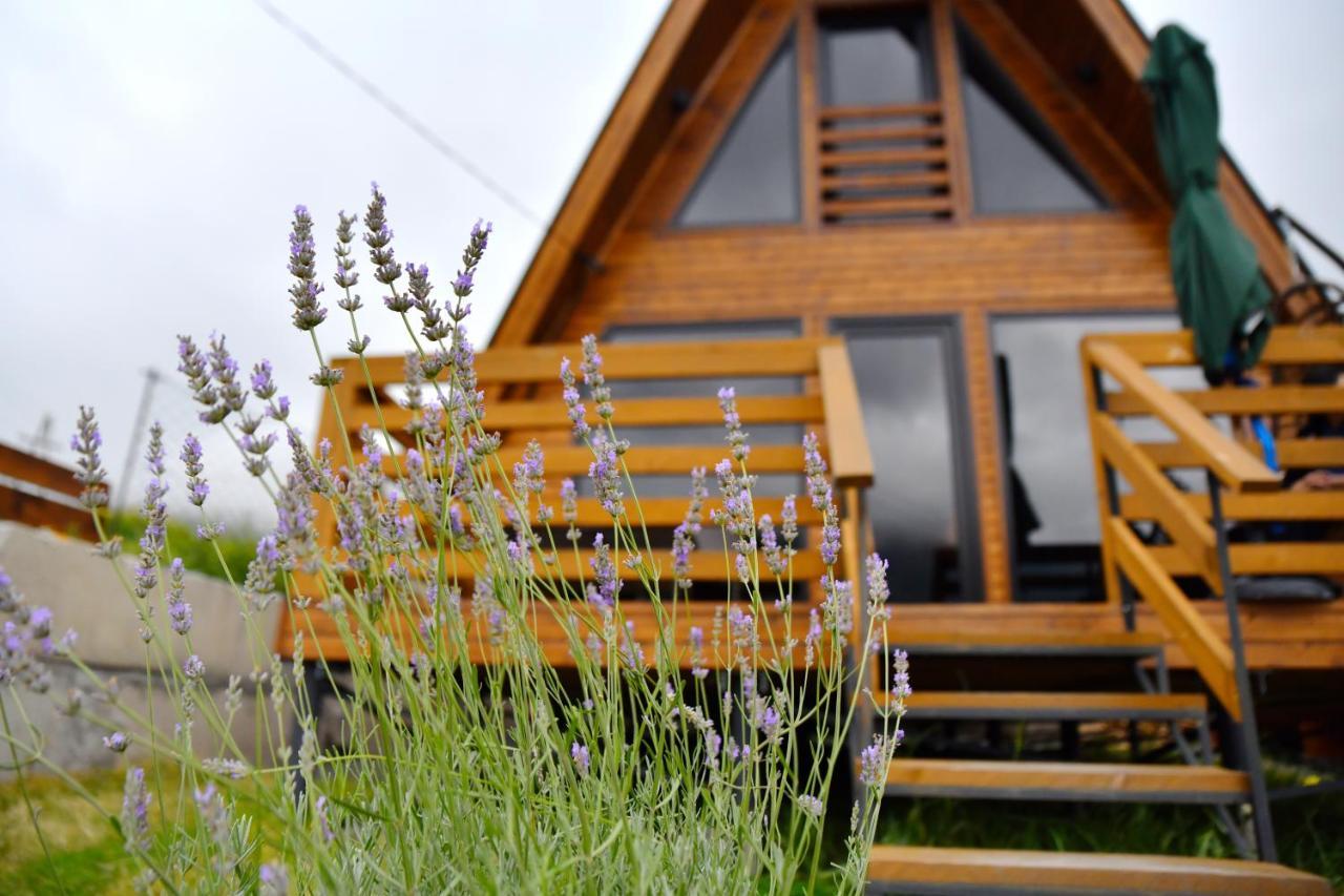 Kazbegi Spa Resort Cottages Buitenkant foto